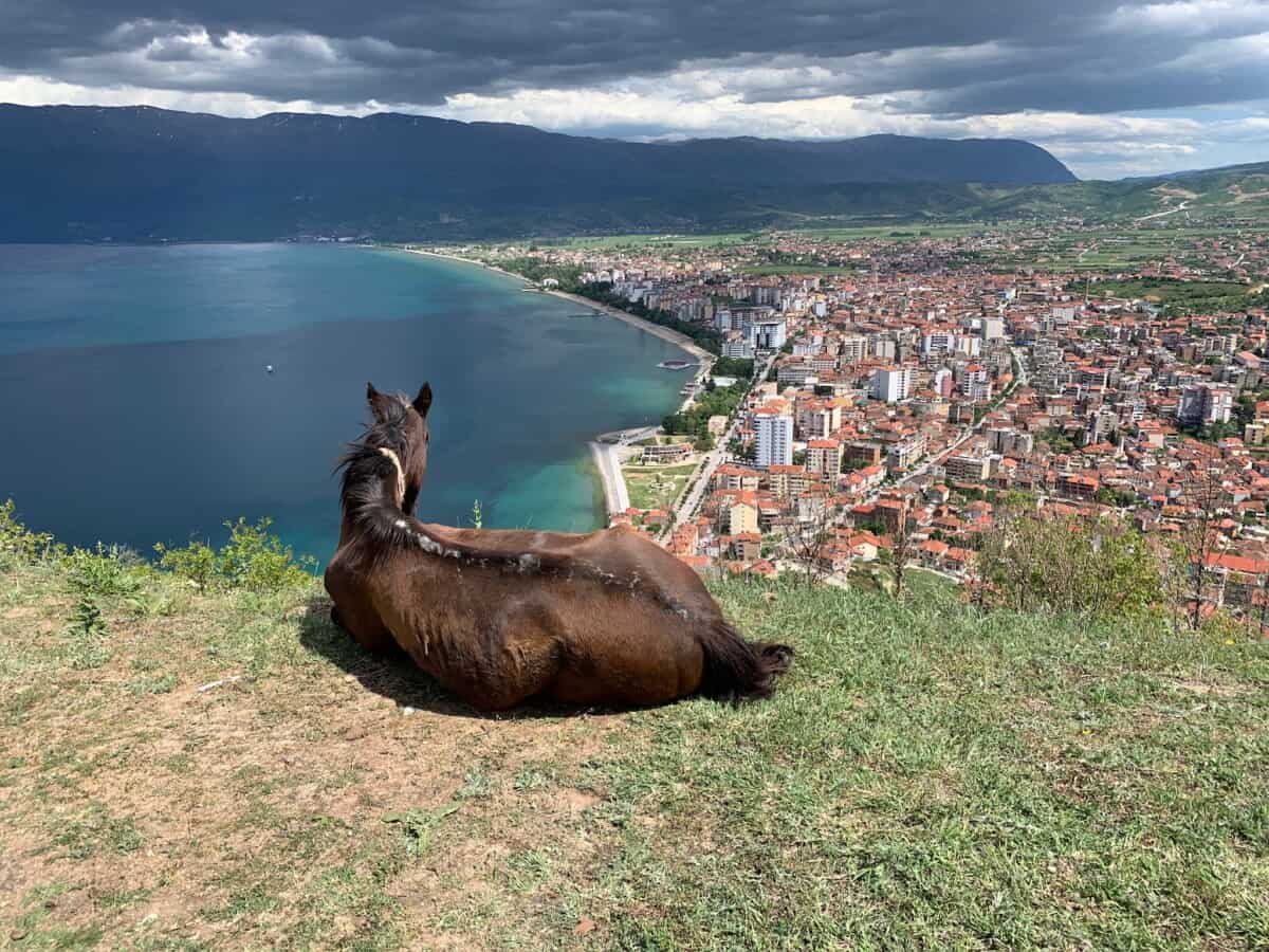 Pogradec