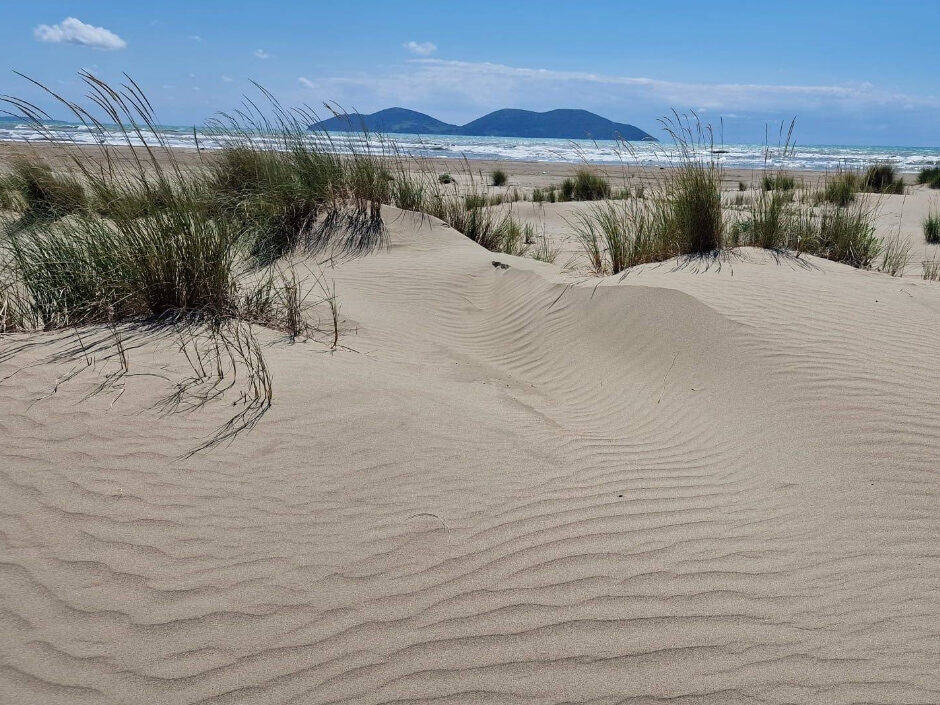 hidrovor beach