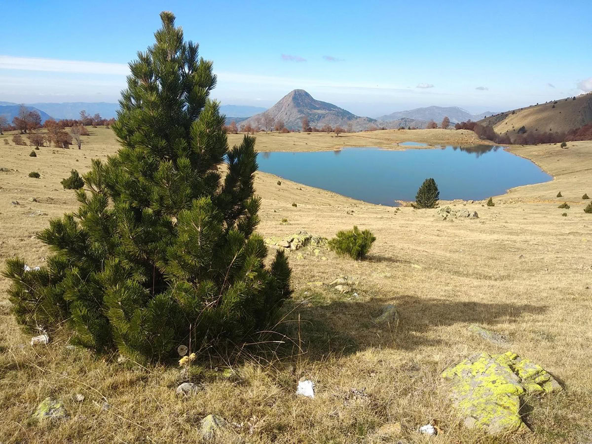 Valamara