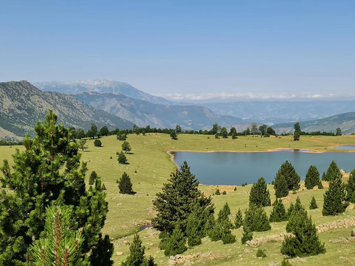 Valamara