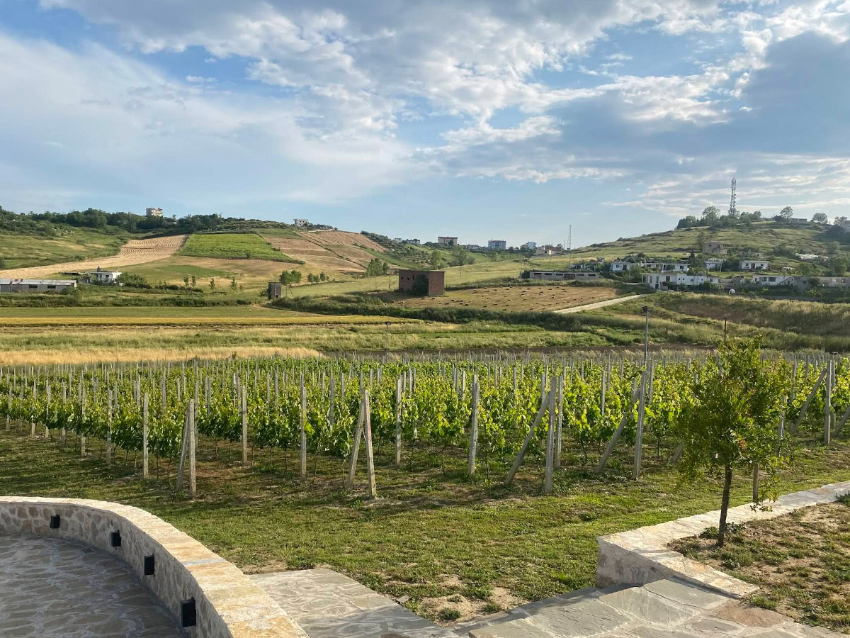 Abaia Winery and Vineyard