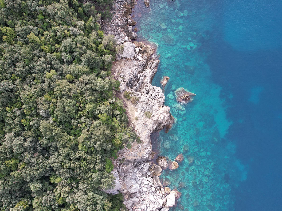 akuariumit beach